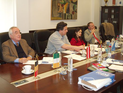 Meeting of the CIGRE Work Group in the Institute 
